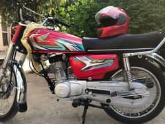 Honda 125 2023 Model 10/10 Lush Special Number