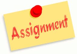 Assignment writer