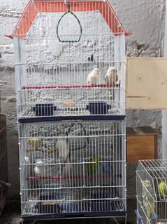 2 portion parot Cage 0