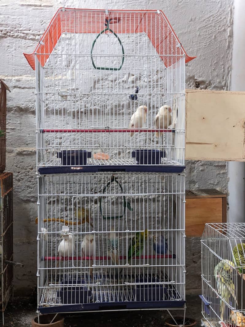 2 portion parot Cage 1