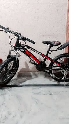 20 inch imported cycle for urgent sale