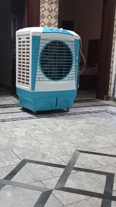 Rolex full size air cooler