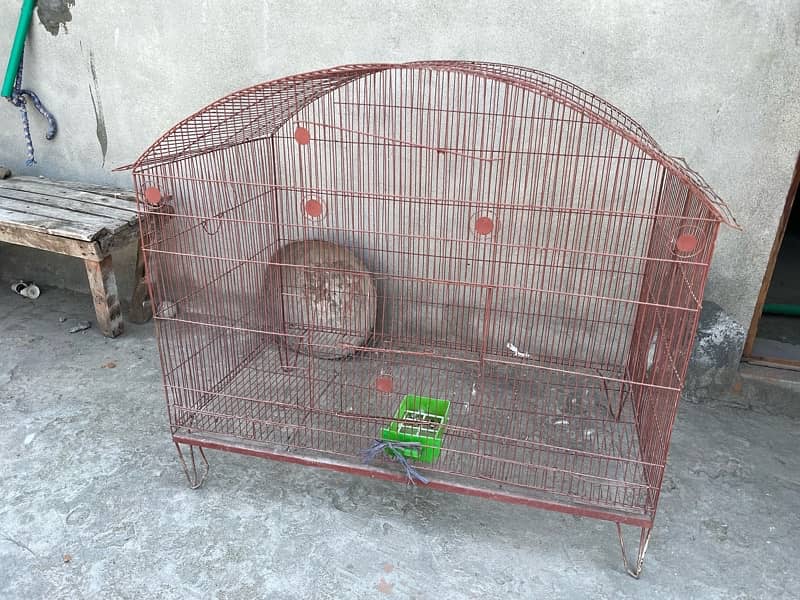 Big Size Cage 1