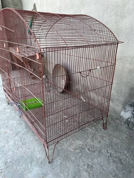 Big Size Cage 2