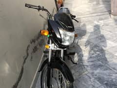 Honda 100 Lush Condition 2022