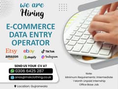 We are hiring a Data Entry Operator