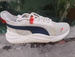 puma original shoes size 7