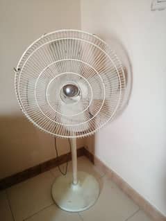 fan