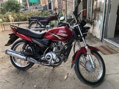 yamaha ybz 2018