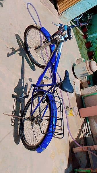 strong bicycle 2