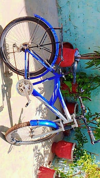 strong bicycle 3