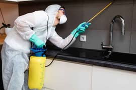 dengue spray, mosquitos spray, pest control and fummigation spray