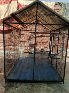 Cage for birds hens and pets.