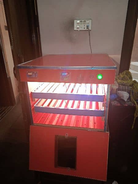 incubator for chicks hatching automatic Whatsapp contact 03176770779 1