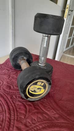 5 kg pair dumbbells