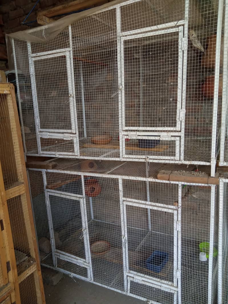 Lovebirds , Cockatiel , Breeder Pairs And Cages 13