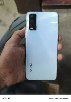 vivo