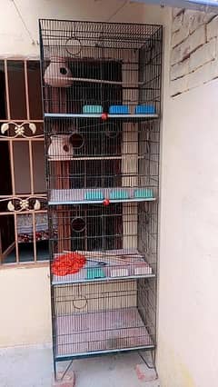 4 portion cage for sale