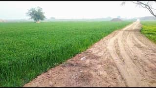 Agriculture Land For Sale In Bahawalpur