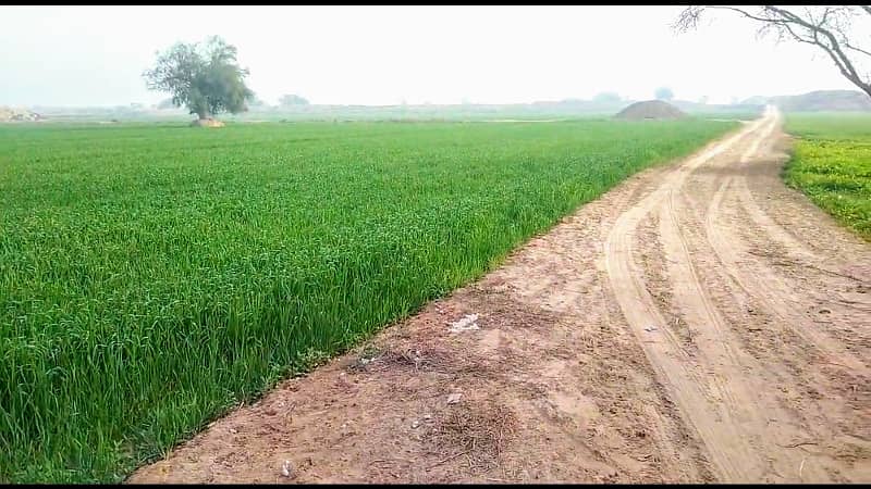 Agriculture Land For Sale In Bahawalpur 0