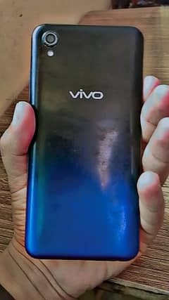 vivo