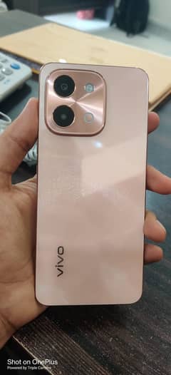 vivo