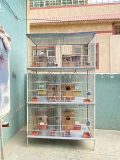 Bird cage , box with Birds sale Albino ,decino, lutino, lovebird