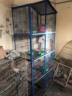 8 portion bird cage for sale