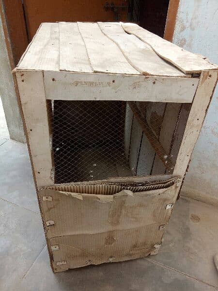 Bird cage 8