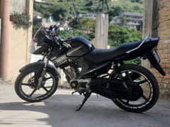 yamaha yBr 125