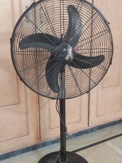 fan