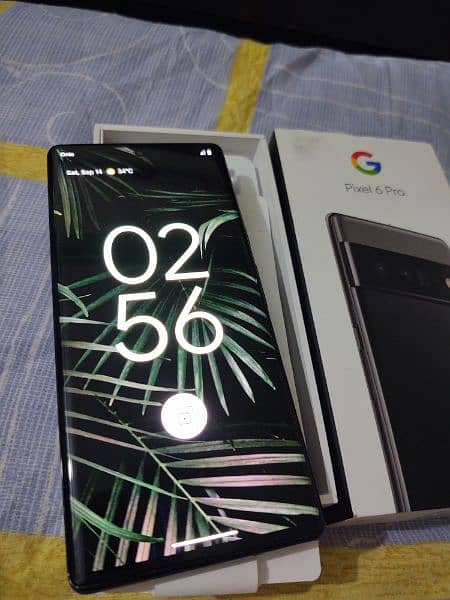 Google Pixel 6Pro Complete box Sell/Exchange 4