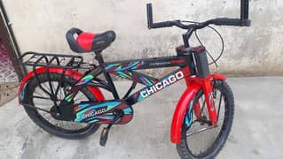 chicago cycle