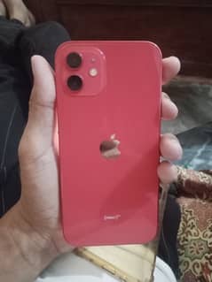 iphone 12 Red