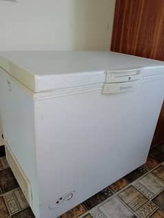 freezer in very good condition no damage no repair almost new