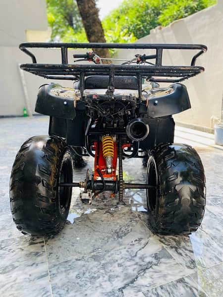 250cc atv quad bike 2