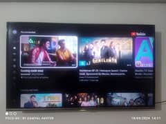 TCL 43" LED 4K Android TV (Model: L43P8)