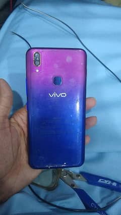 Vivo