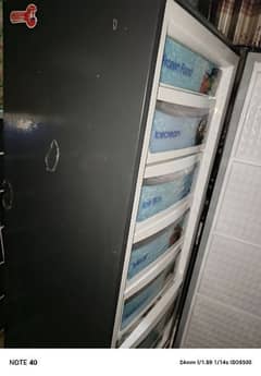 vertical freezer brand new conditions