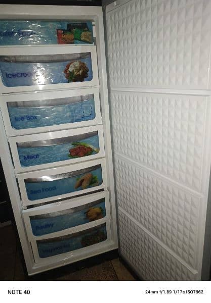 vertical freezer brand new conditions 1