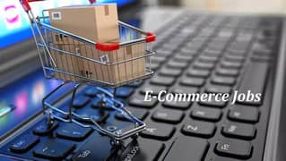 E-commerce Data Entry Specialist