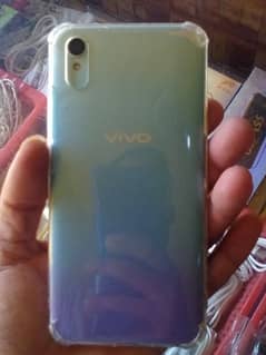 vivo