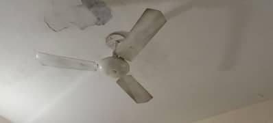 fan for sale in New condition 0