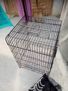 grey parrot cage