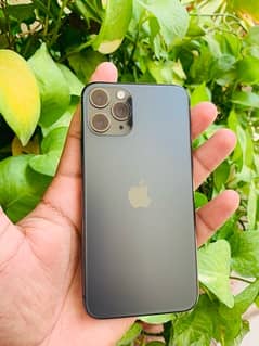 iPhone 11 pro (PTA approved )