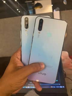 Vivo