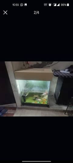 Fish Aquarium For Sale