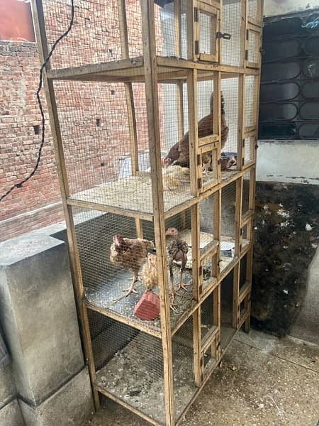 cage for sell / 4x4 cage / 10/10 condition / hens cage /All birds cags 1