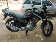 Yamaha YBR125G Only 1k Driven Model 2024