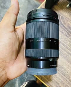 Sony 18-200mm f/3.5-6.3 OSS Lens